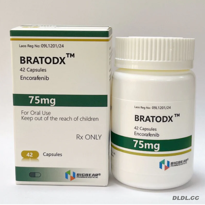 2025-08-07_190511_553 2025-08-07_190511_553